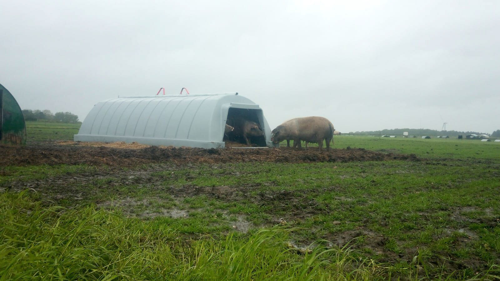 Fonager Frilandsudstyr Weaner Dryhut 41