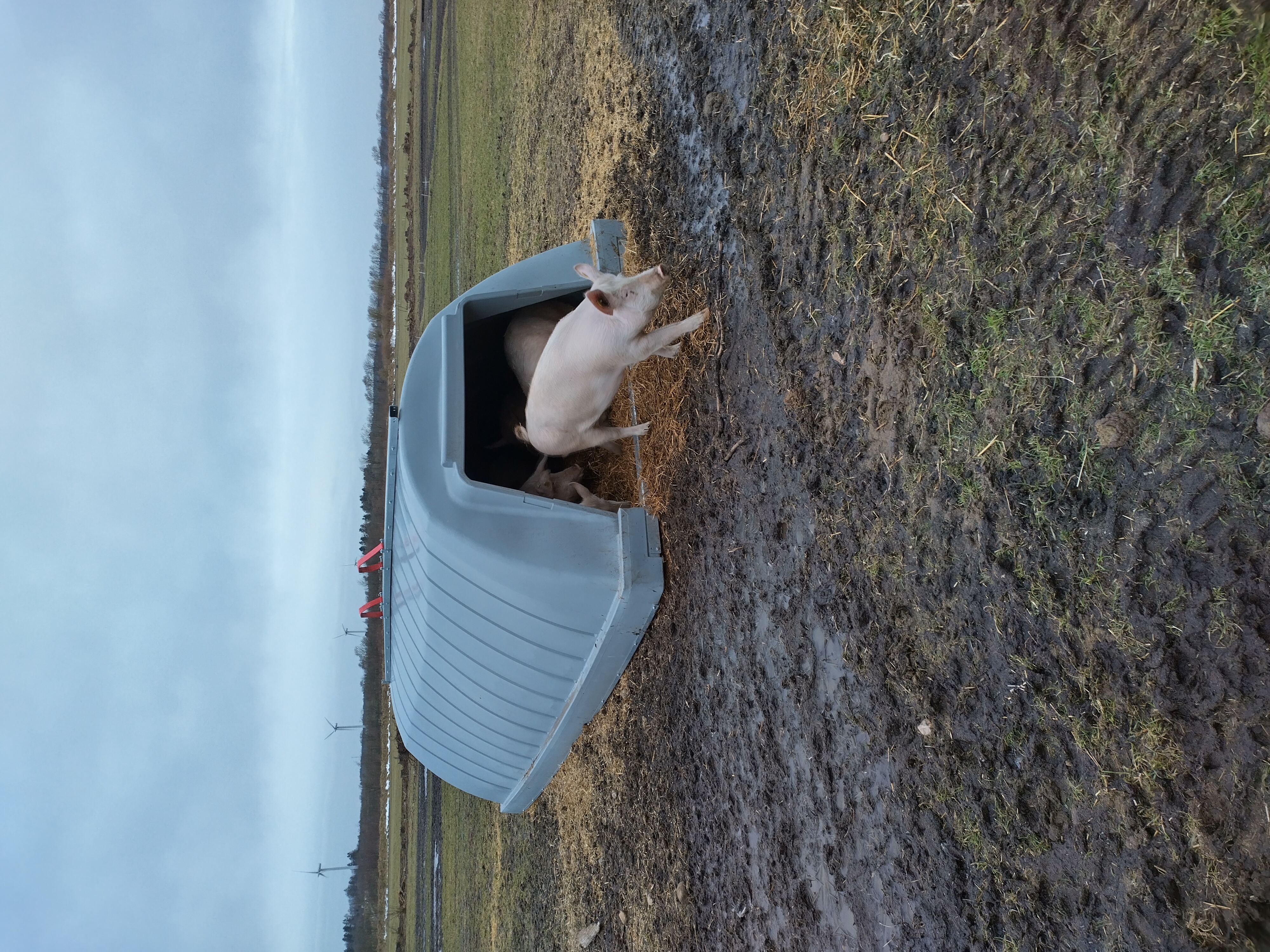 IMG 20240121 094313 HDR