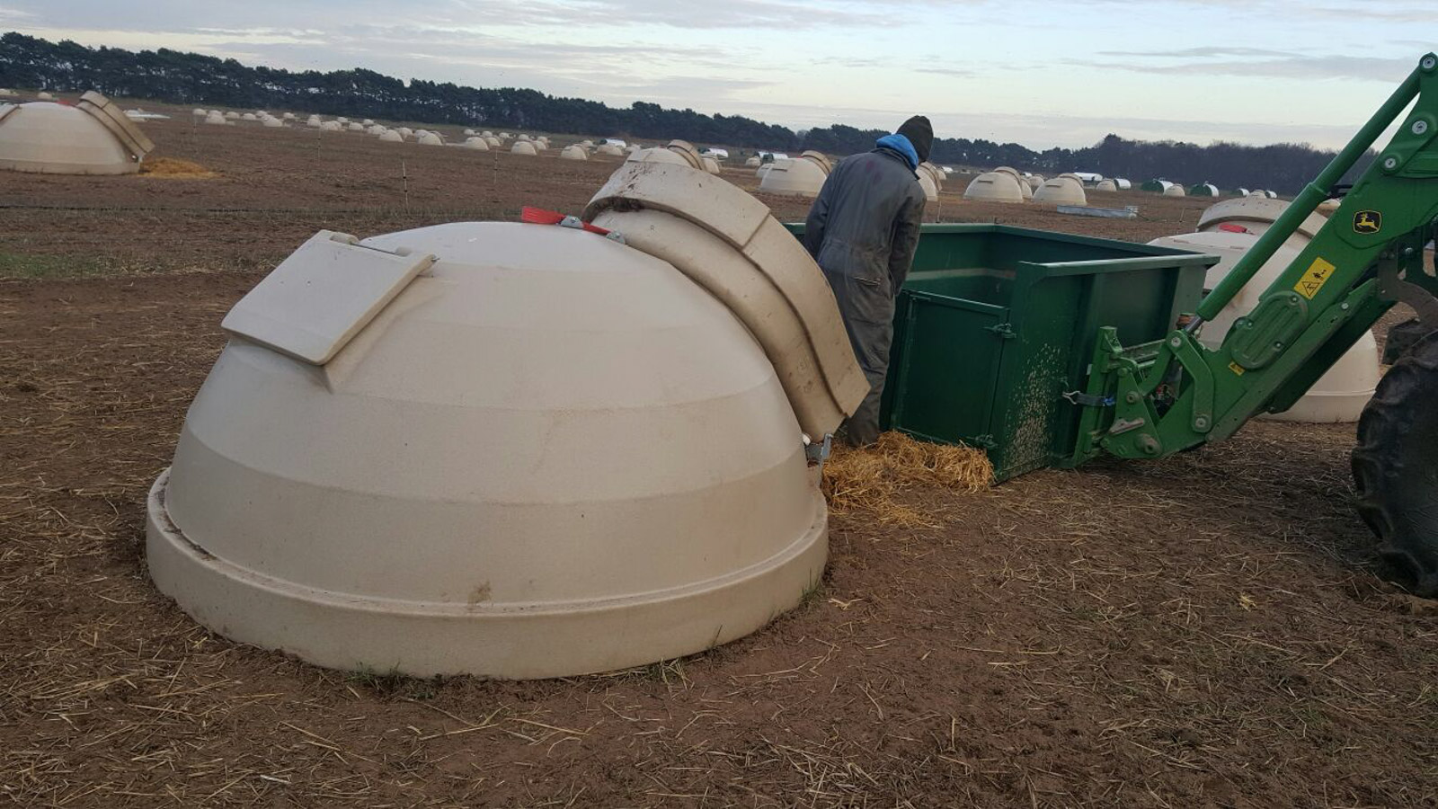 Fonager Frilandsudstyr Aardvark Farrowing Hut 18