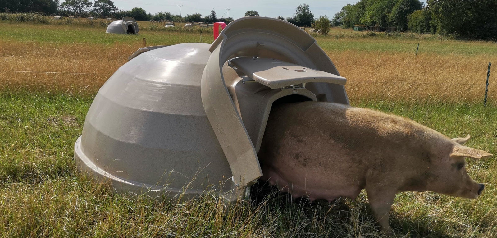 Fonager Frilandsudstyr Aardvark XL Farrowing Ark 26