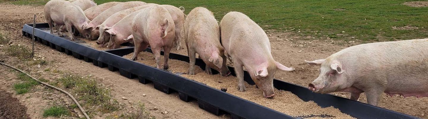 Fonager Frilandsudstyr Sow Trough 72