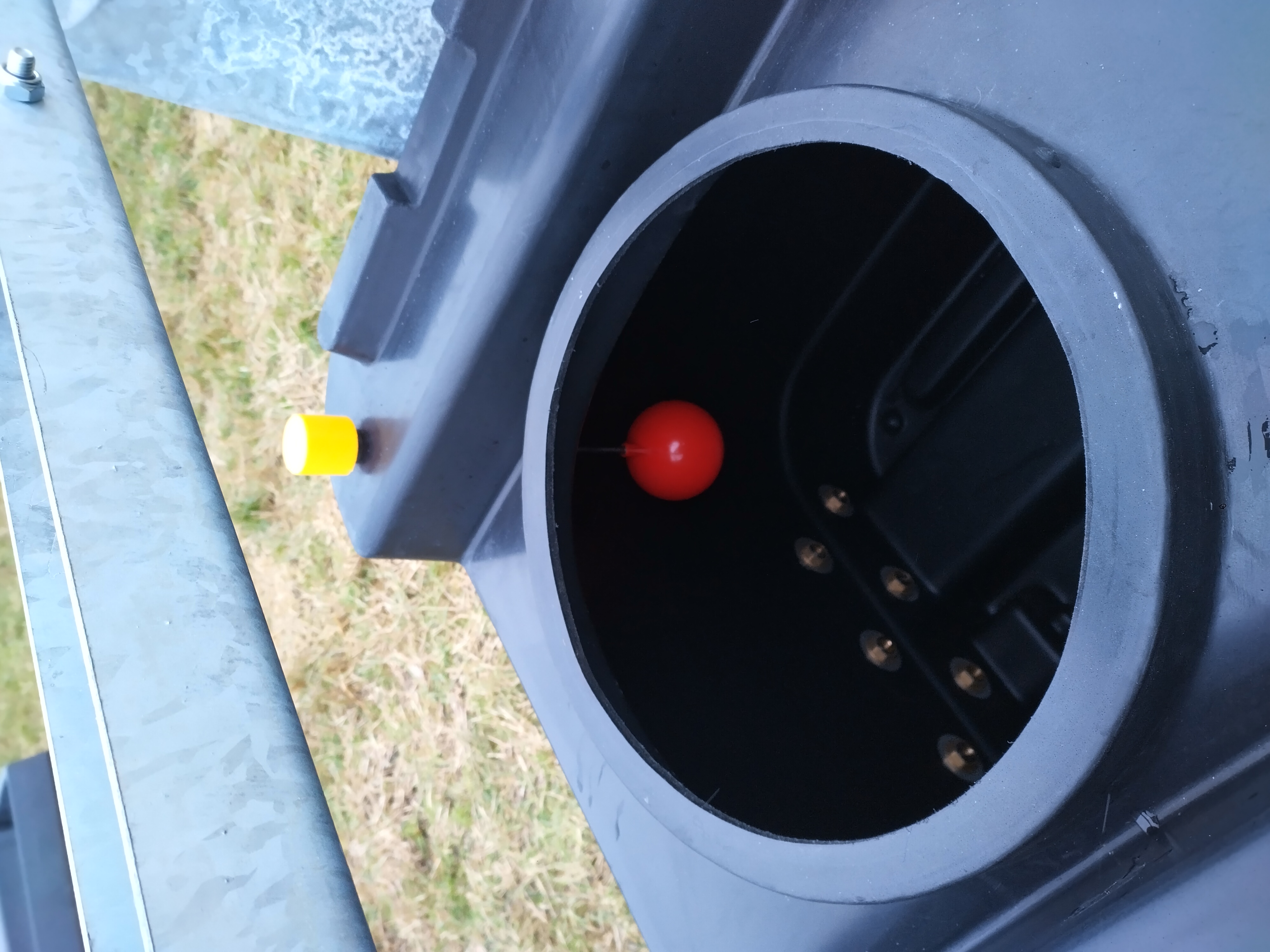 IMG 20240121 101914 HDR