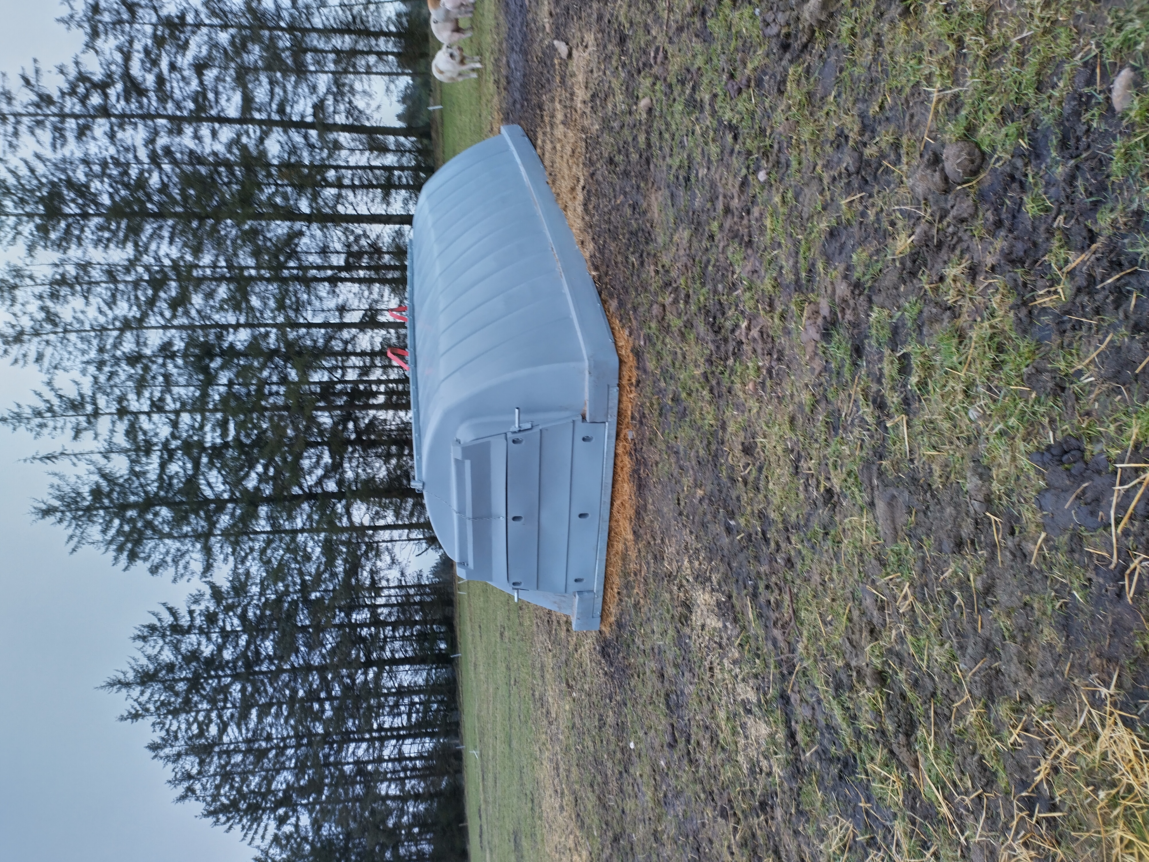 IMG 20240121 094524 HDR