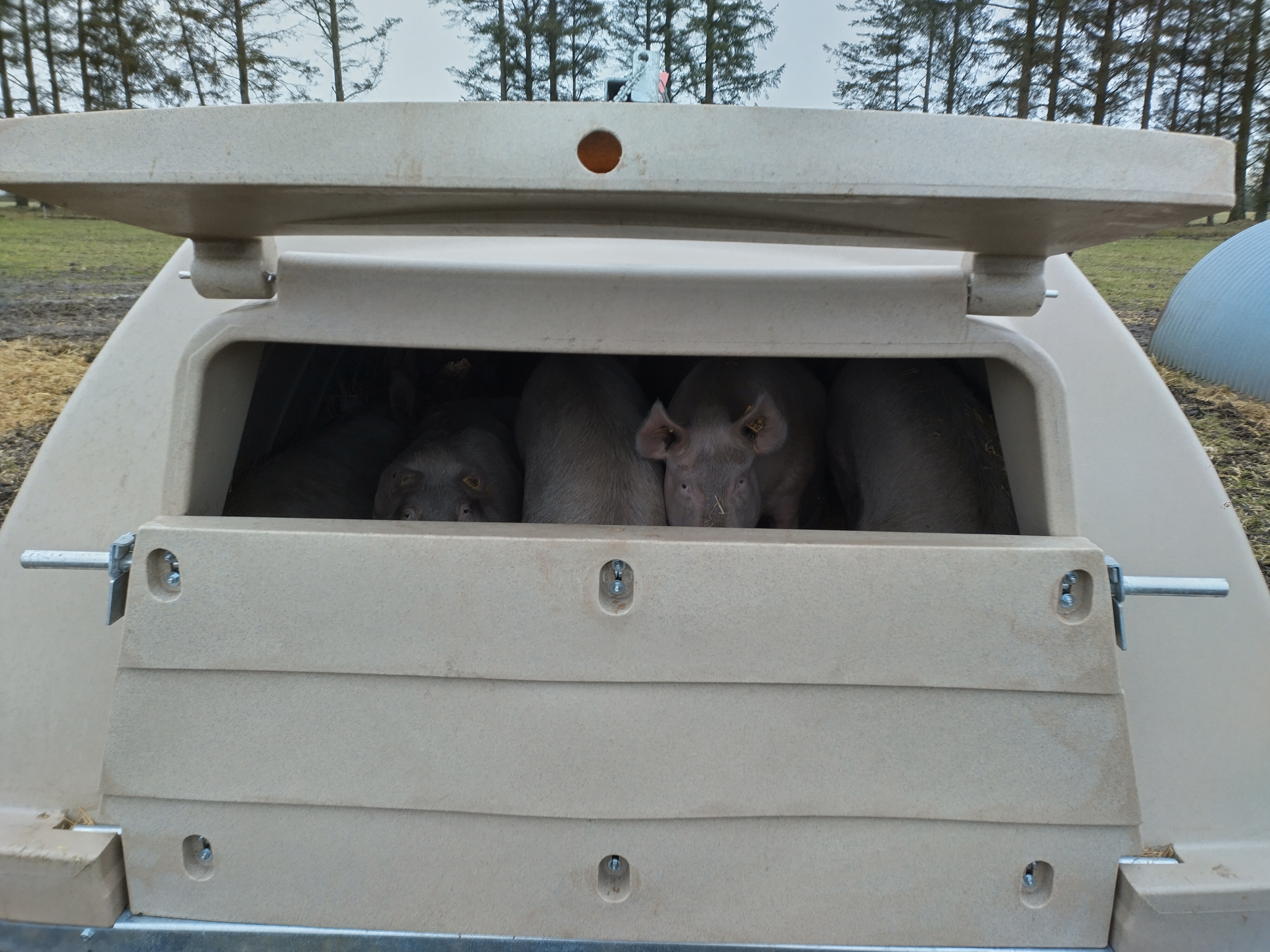 IMG 20240121 094915 HDR