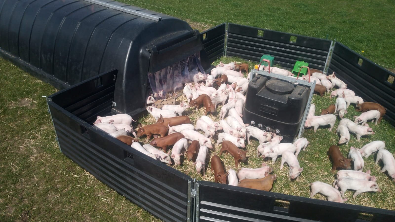 Fonager Frilandsudstyr Weaner Dryhut 38