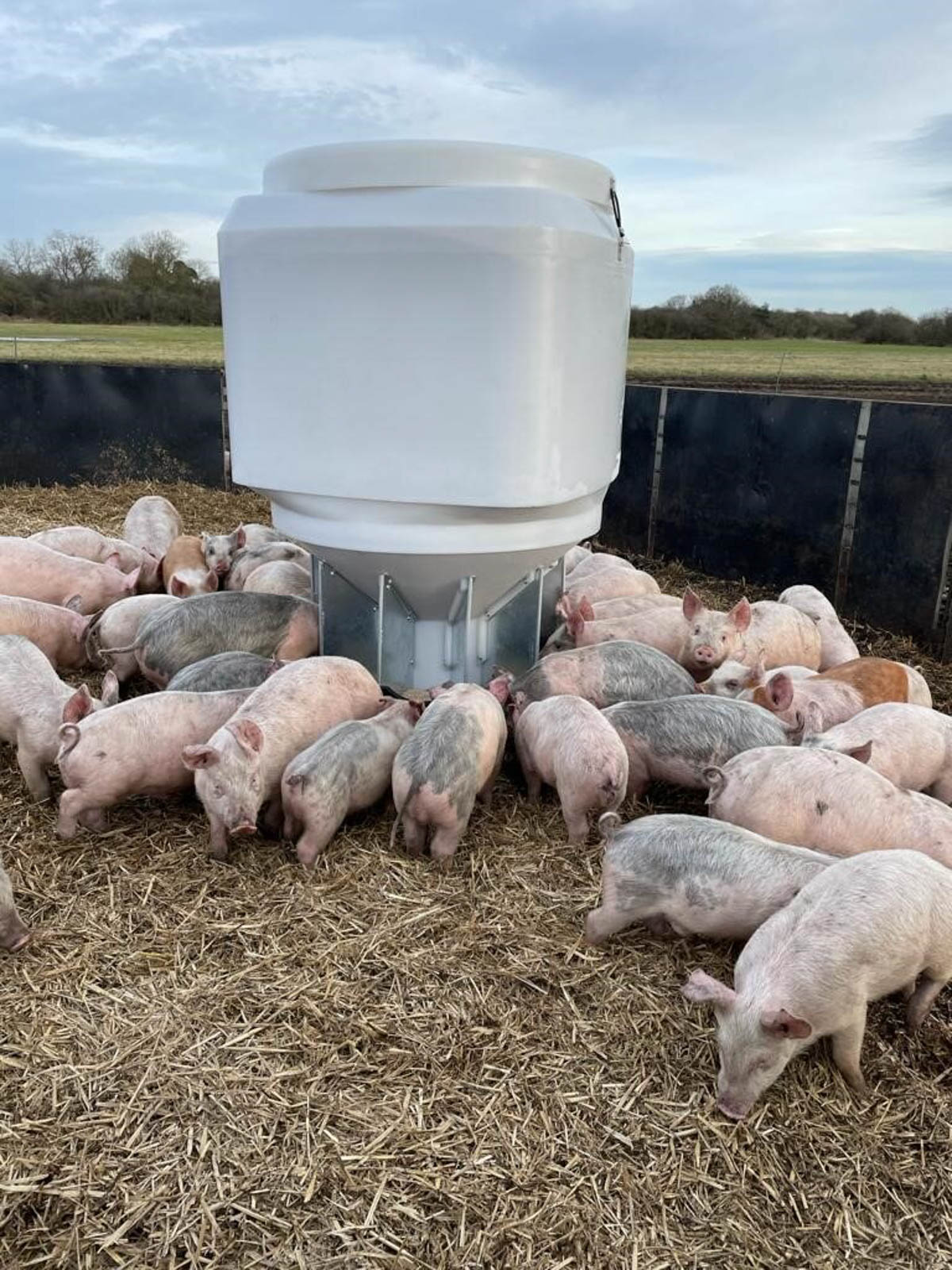 Fonager Frilandsudstyr Free Range Grower Feeder 78