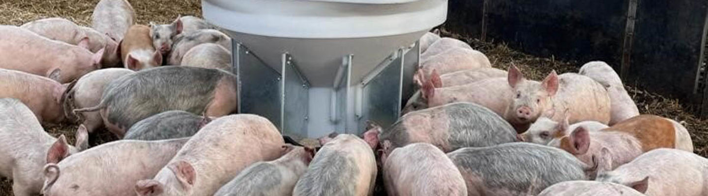 Fonager Frilandsudstyr Free Range Grower Feeder 78