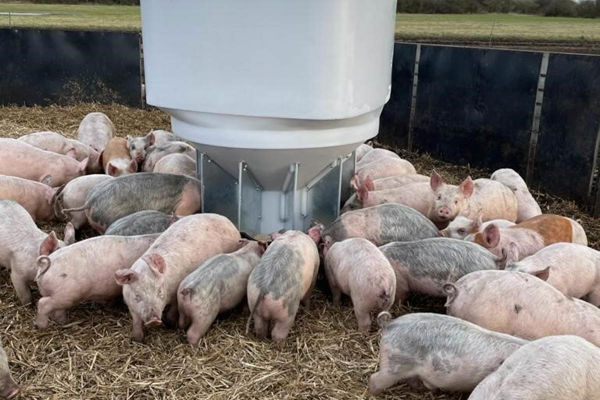 Fonager Frilandsudstyr Free Range Grower Feeder 78