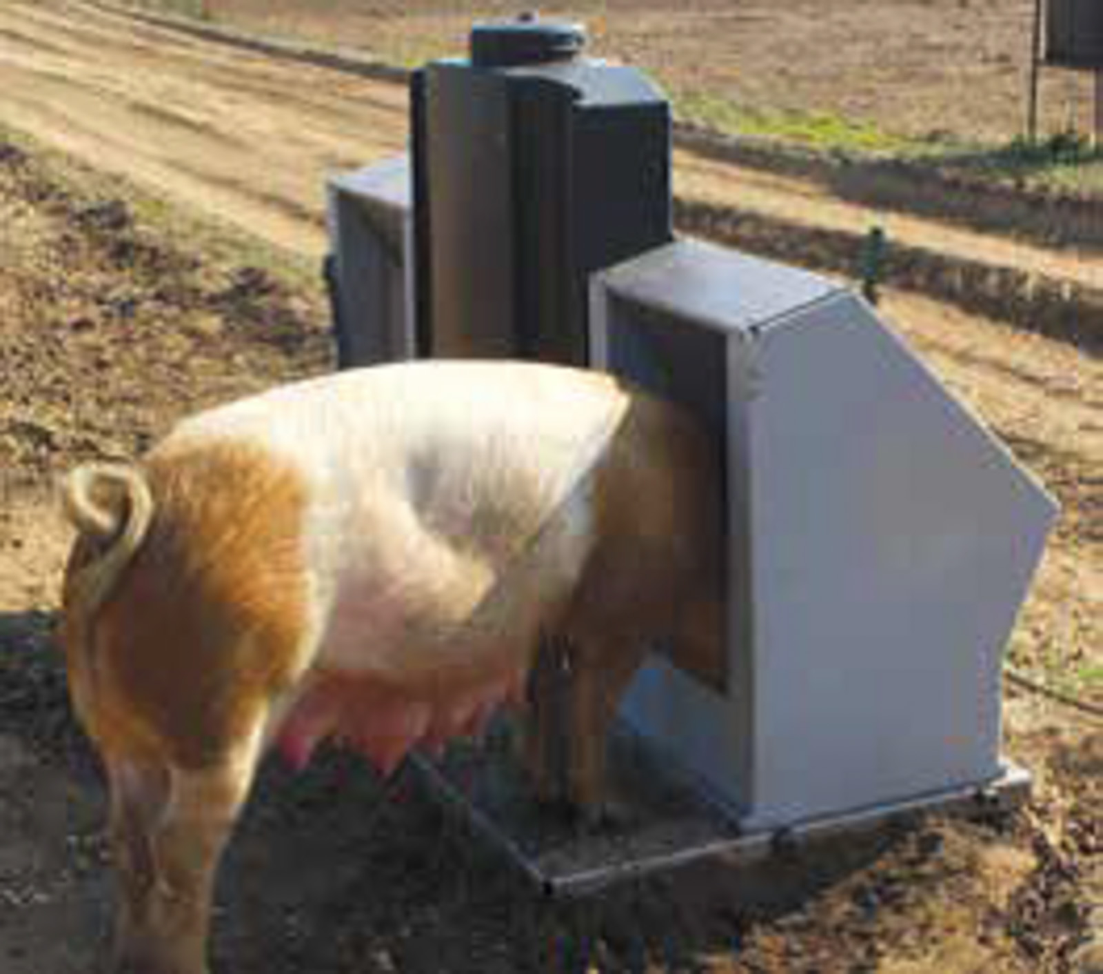 Fonager Frilandsudstyr Farrow Feeder 59