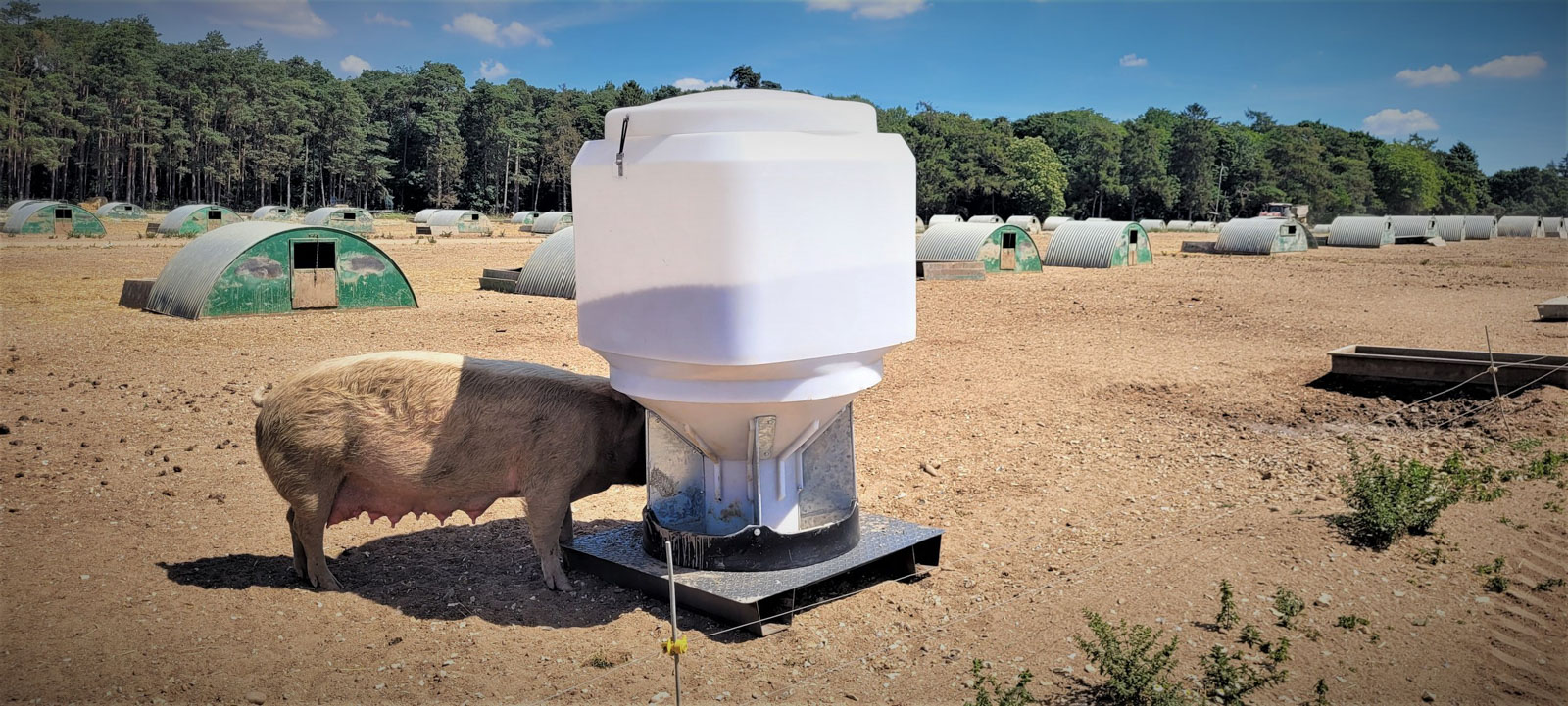 Fonager Frilandsudstyr 1 Ton Adlib Feeder 83