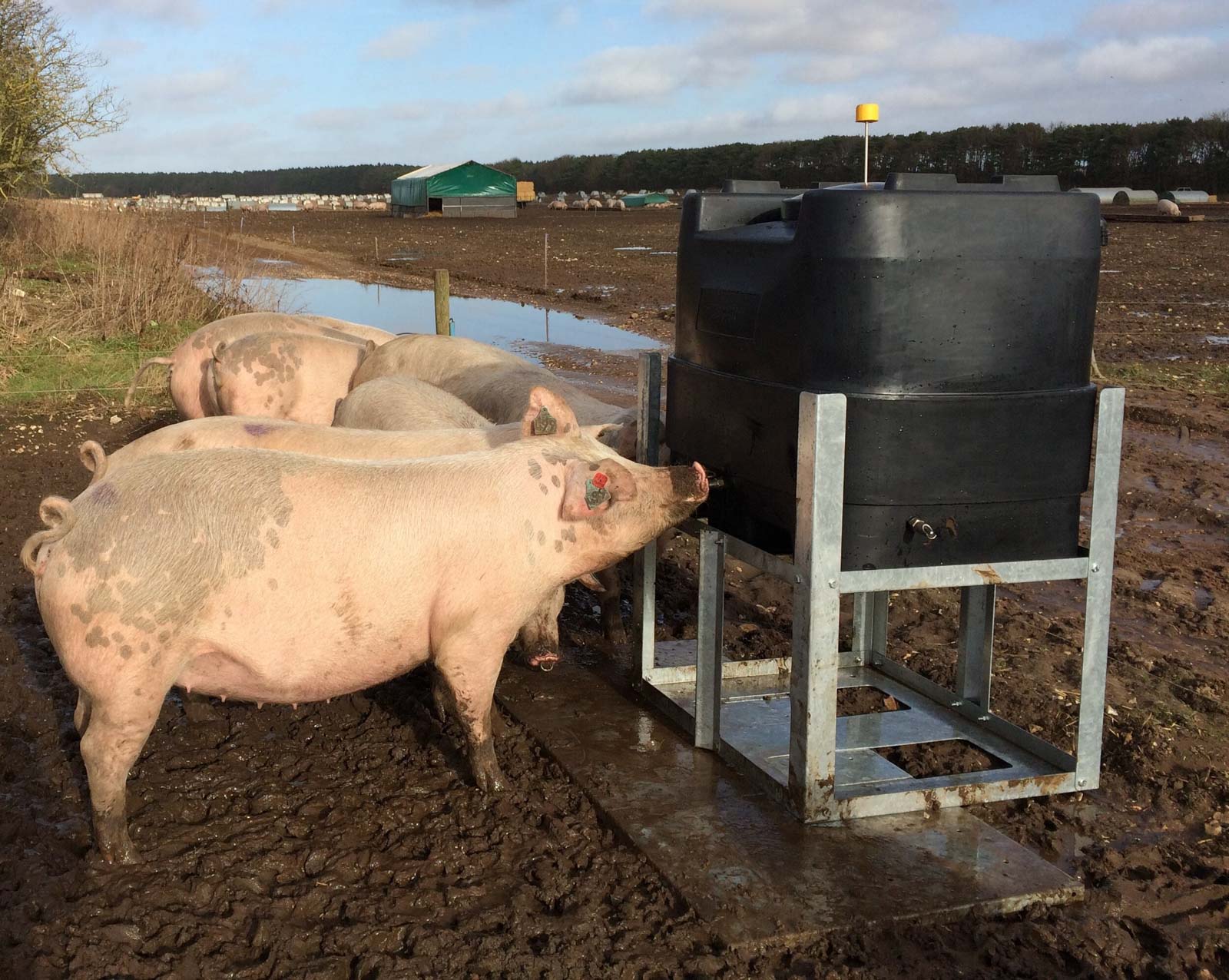 Fonager Frilandsudstyr Cleanwater 87