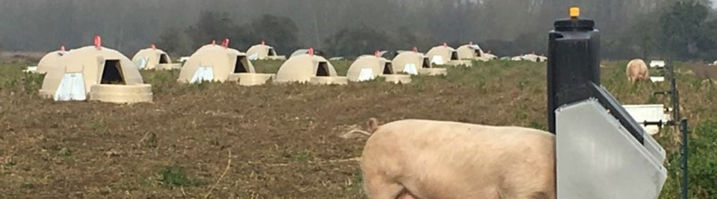 Fonager Frilandsudstyr Farrow Feeder 57