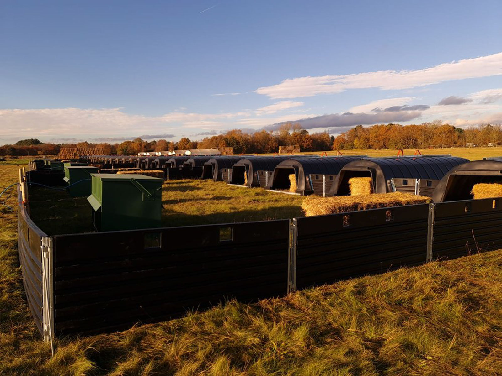 Fonager Frilandsudstyr Hurdle 117