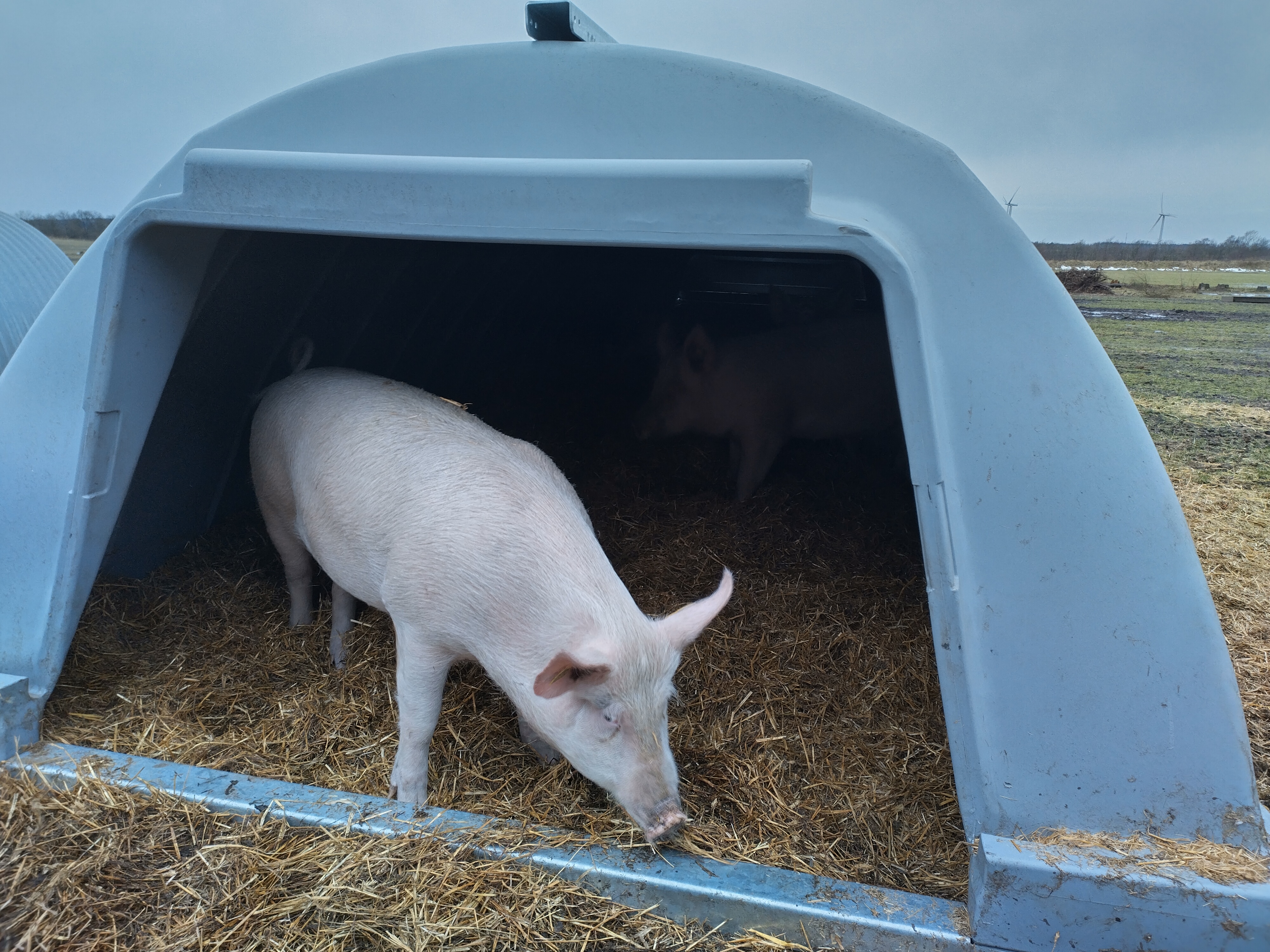 IMG 20240121 094335 HDR