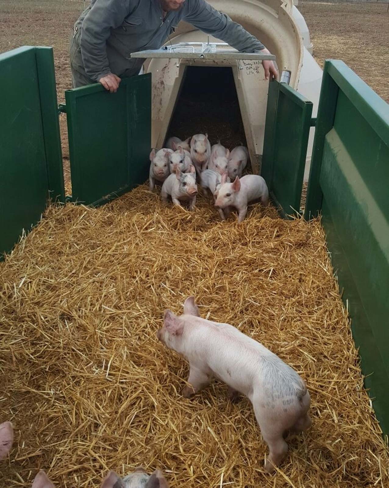 Fonager Frilandsudstyr Aardvark Farrowing Hut 20