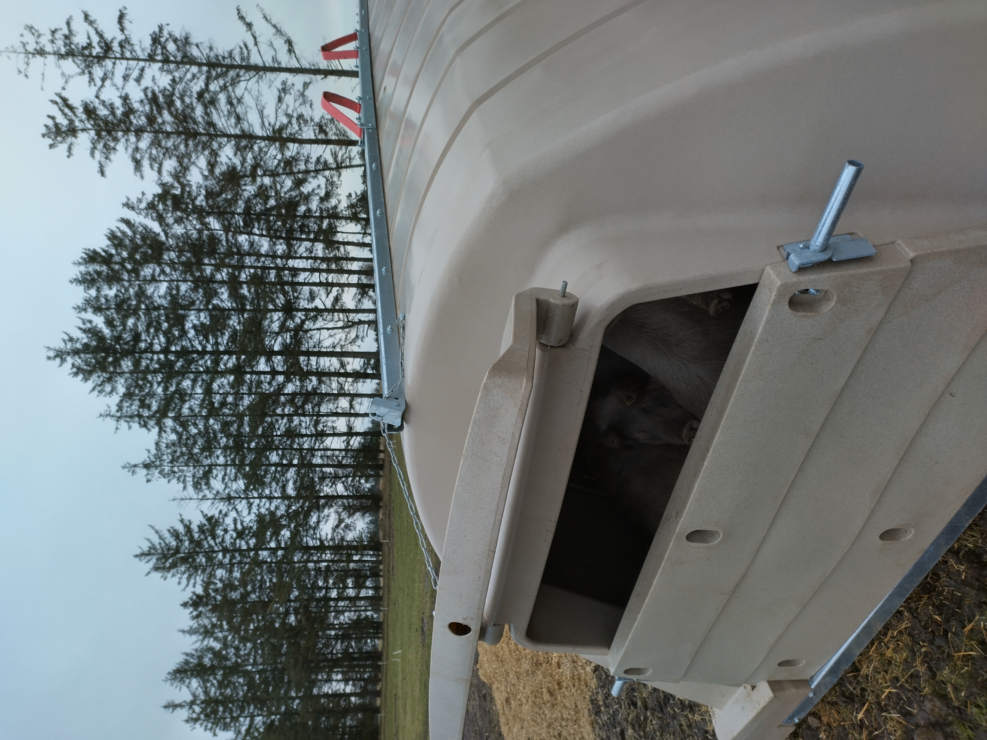 IMG 20240121 094906 HDR