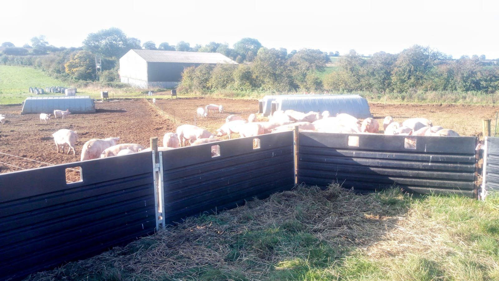 Fonager Frilandsudstyr Hurdle 100