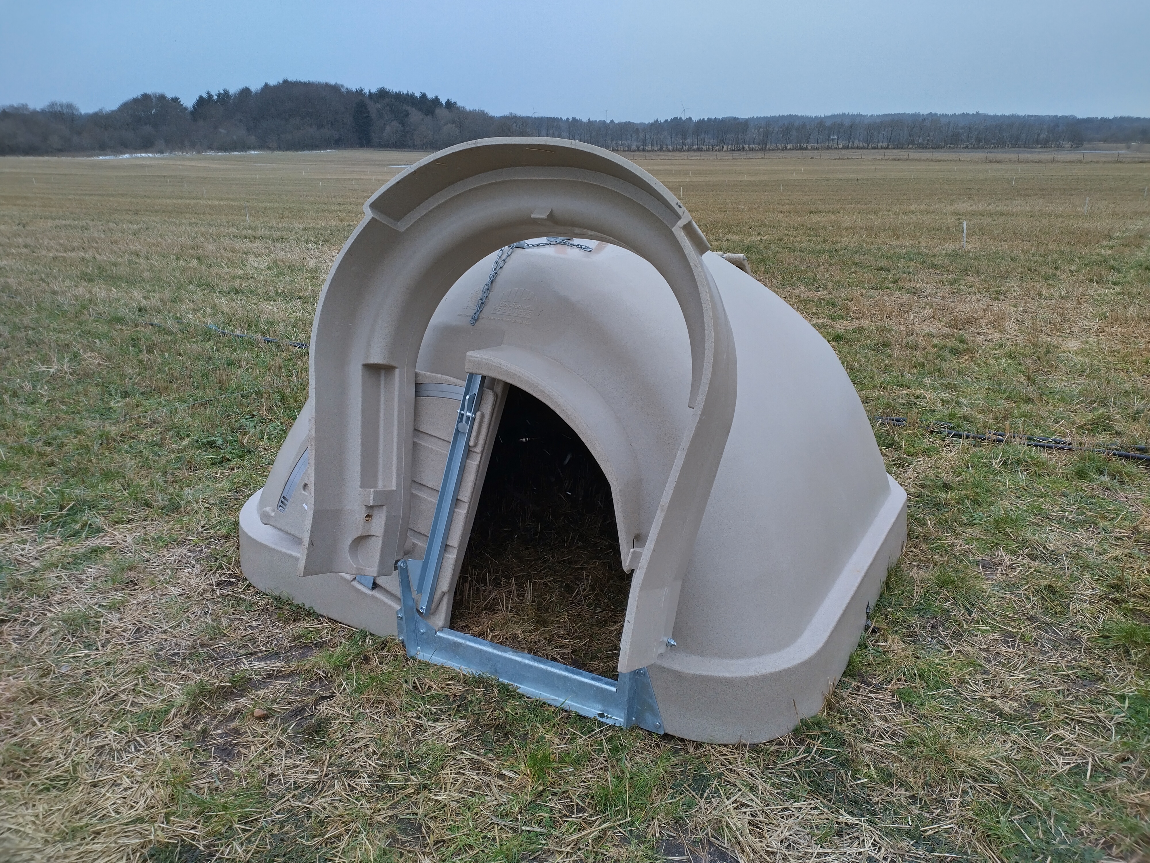 IMG 20240121 102029 HDR