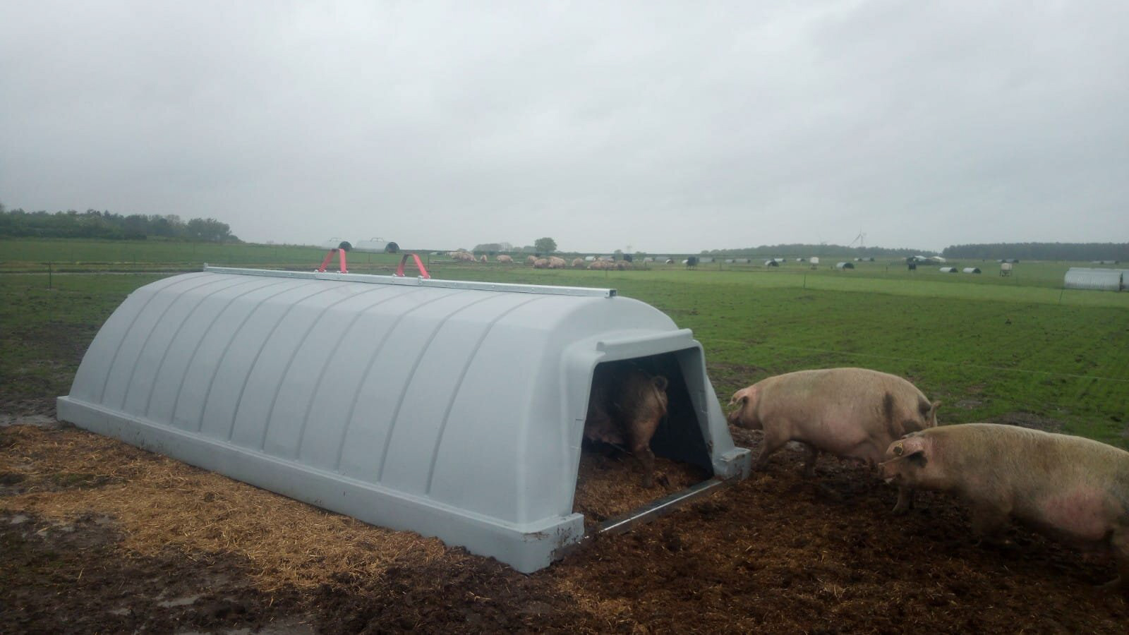 Fonager Frilandsudstyr Weaner Dryhut 39