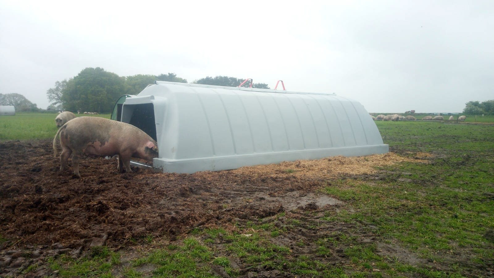 Fonager Frilandsudstyr Weaner Dryhut 40