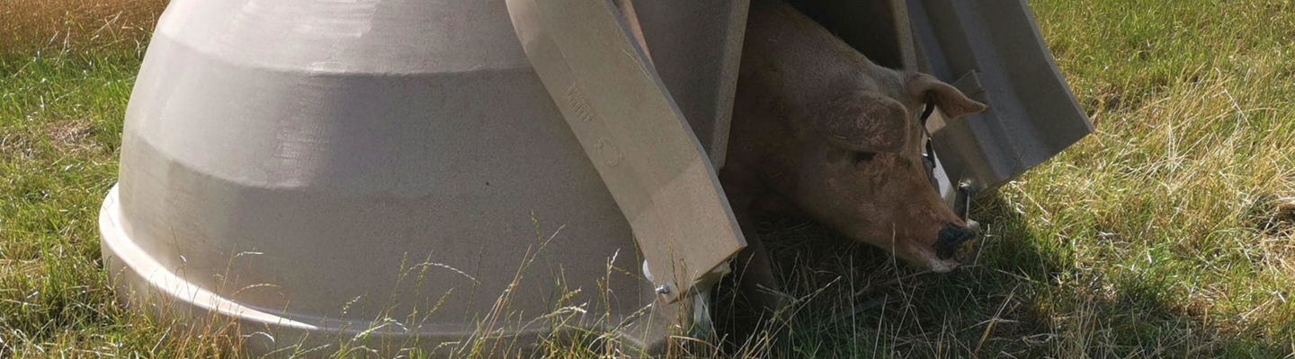Fonager Frilandsudstyr Aardvark XL Farrowing Ark 25